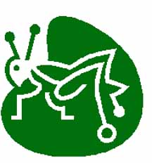 04grasshop.jpg (13488 bytes)