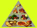 05FoodPyramid.jpg (7823 bytes)