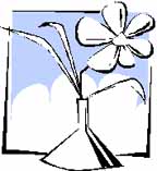 21plant.jpg (11980 bytes)