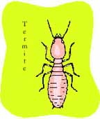 26termite.jpg (8749 bytes)