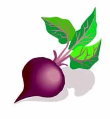 27veg.jpg (9342 bytes)