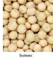 soybeans