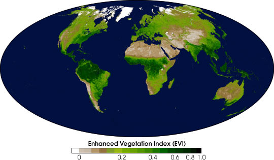 \includegraphics[width=4in]{figs/modis_EVI_2000_fall.png}