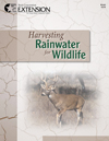 Harvesting Rainwater for Wildlife