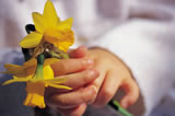 hands holding flowers