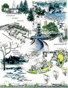 landscape design