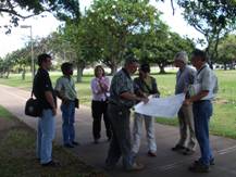 evaluating trees