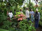 TPSS/ARCH 352 field trip to Leland Miyano’s garden