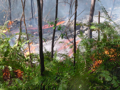 Lava Ignited wildfire