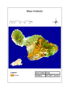 Maui Andisols