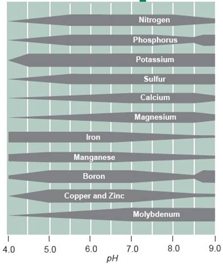 The effect of soil pH on the availability of essential plant elements456x539