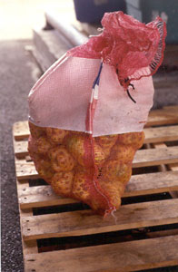 fruit bag
