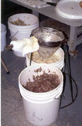 puree vs seeds