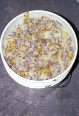 Noni seeds and pulp