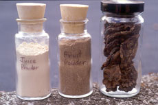 noni juice powder