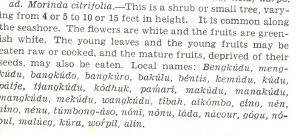 description of noni (1943)