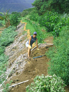 Lisa Ferentinos at Saddle City Planting Project