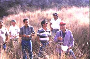 Workshop on controlling pasture weeds