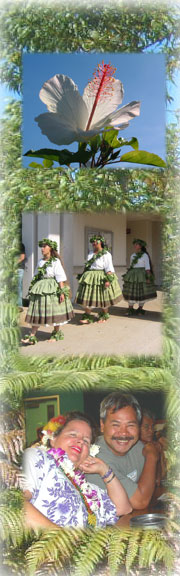 Collage of native plants and program participants
