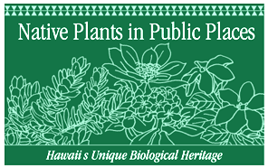 Logo for Native Plant Program