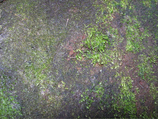 DSCN1131