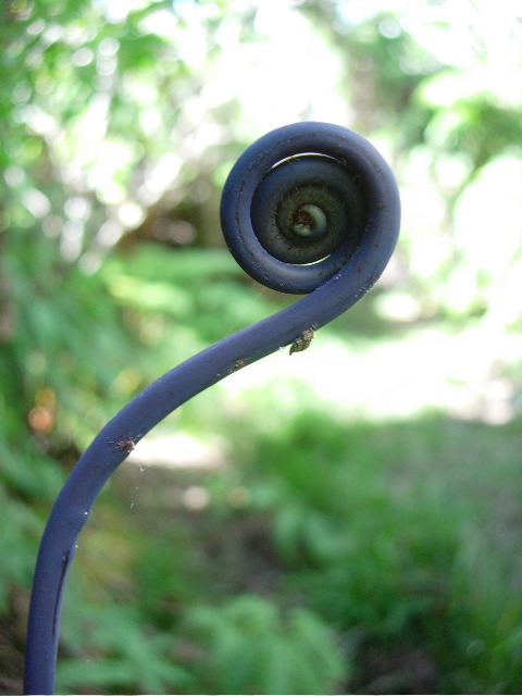 DSCN1108