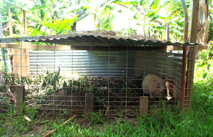 Portable composting pig pen