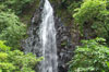 Papa stream falls