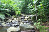 Papa Stream, Nu'u'uli