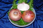 Awahia Bulb Onion