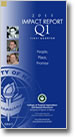 2013 Quarter 1 <br />     impact report