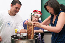 Busy making honey