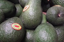 avocados from Hawaii