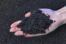 Biochar in hand