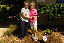 Charlotte Nakamura and Dean Gallo plant the Charlotte Nakamura hibiscus