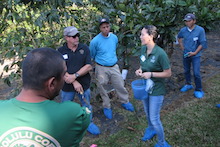 Coffee root-knot nematode workshop