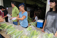 Students working at the Corn Sale