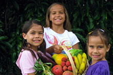 Image from the Hawai‘i Farmers Market and Agritourism Venues manual