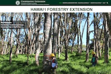 Screen shot from Forestry Extension Site