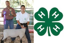 4-H student with his grand champion lamb