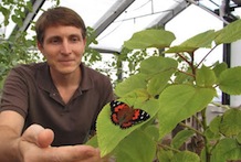 William Haines with pulelehua on mamaki