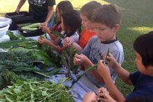 Noelani students and their vegetables