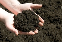 Hands holding soil