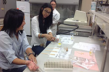 Two students and Maria Stewart working in the lab for the Super Science Fair Exchange