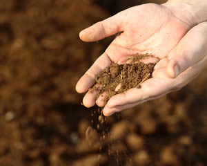 hands holding soil