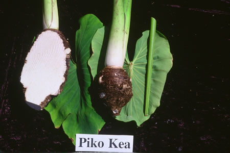 Piko Kea