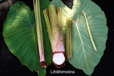 Lihilihimolina