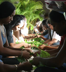 students are making leis