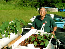 aquaponics