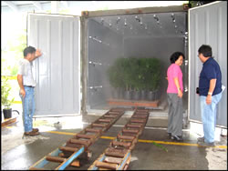 hot-water treatment system
